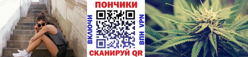 Канабис SATIVA & INDICA  Межгорье 